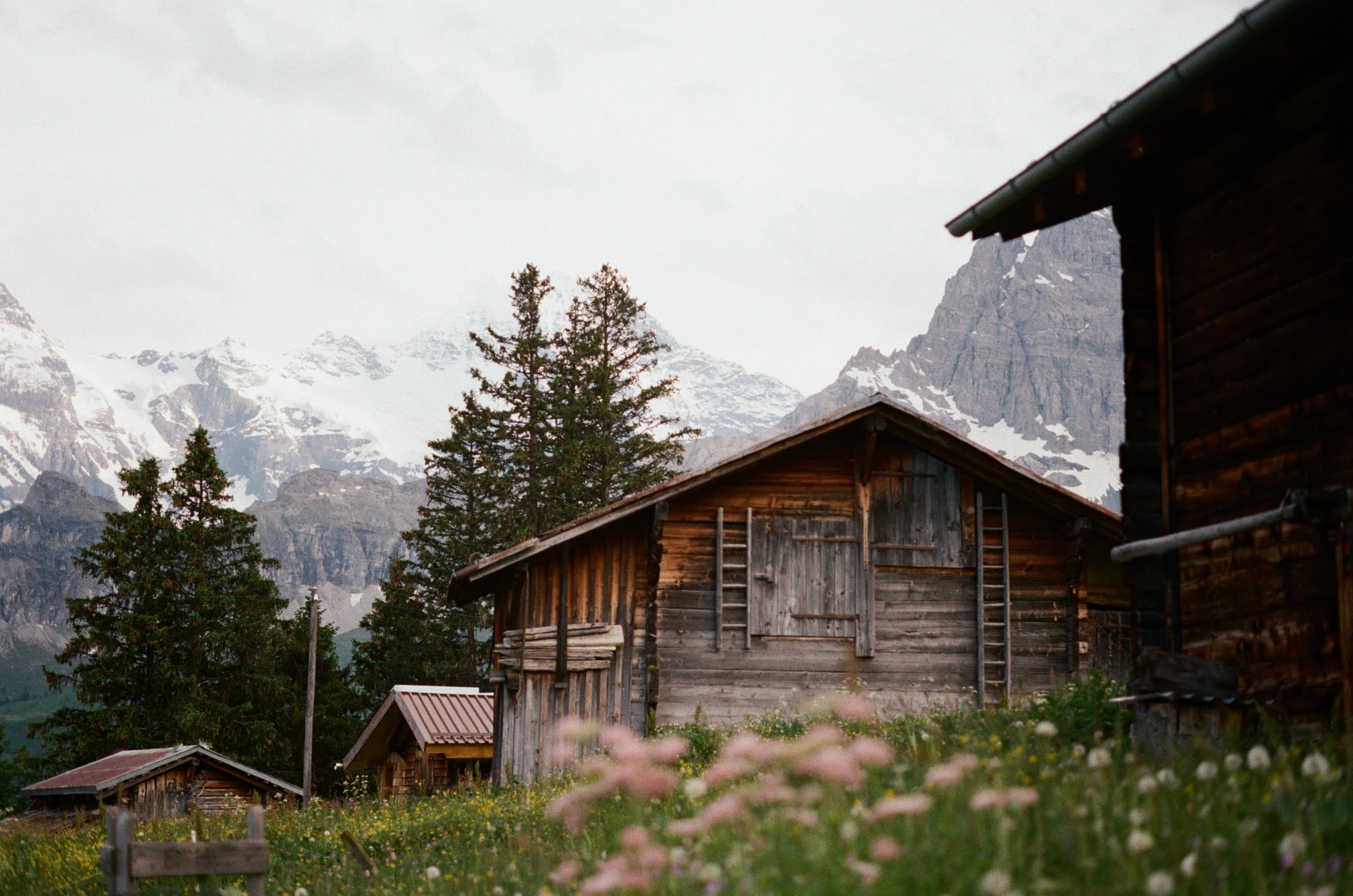 Picture of Alpine Escape