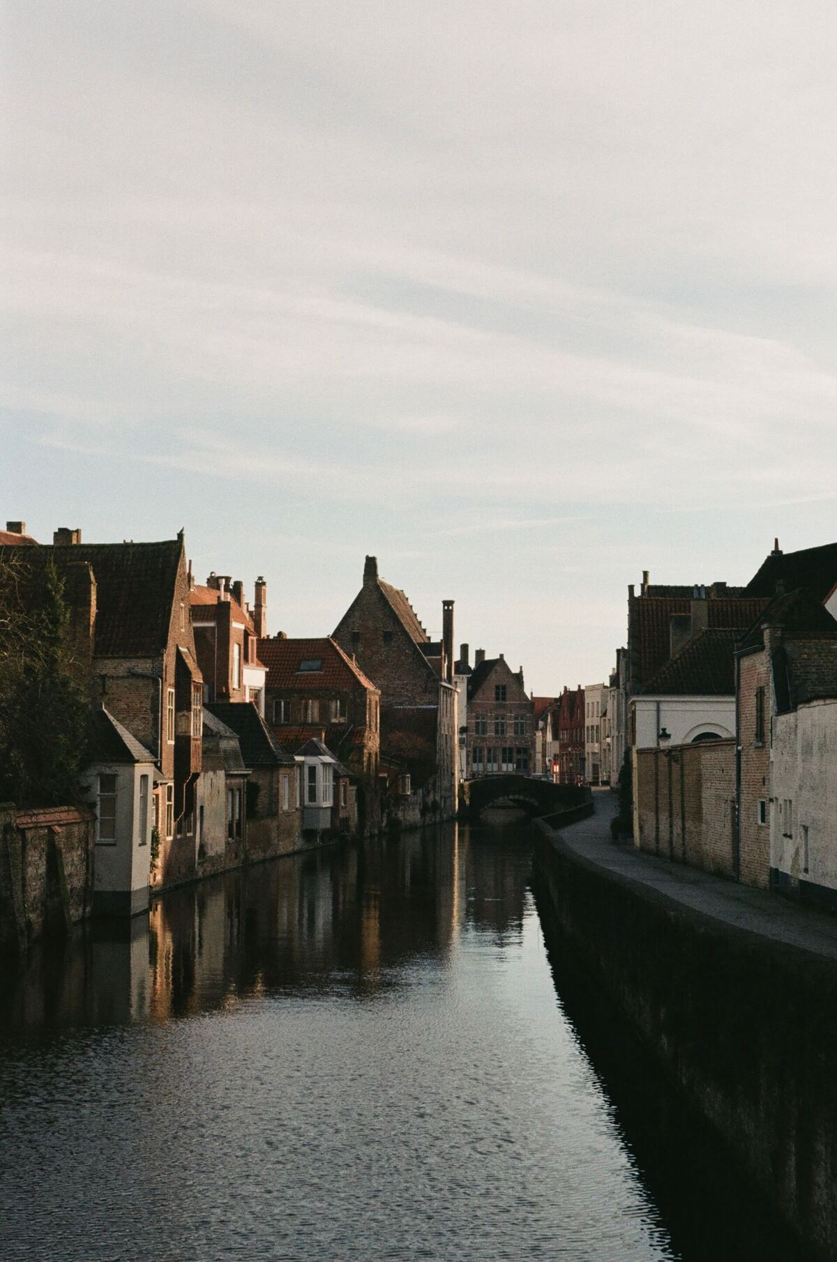 Picture of European Feel