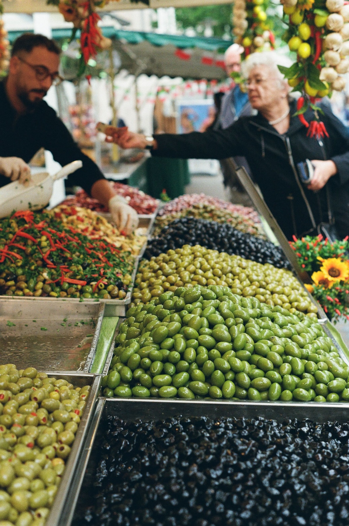 Preview of Faces and Places