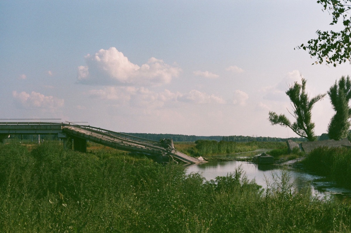 Picture of Grain of Ukraine