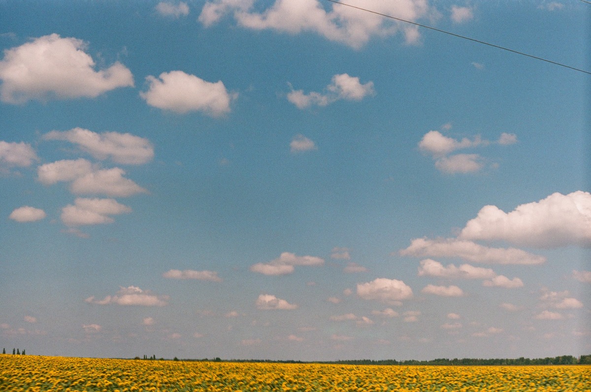 Picture from grainofukraine gallery