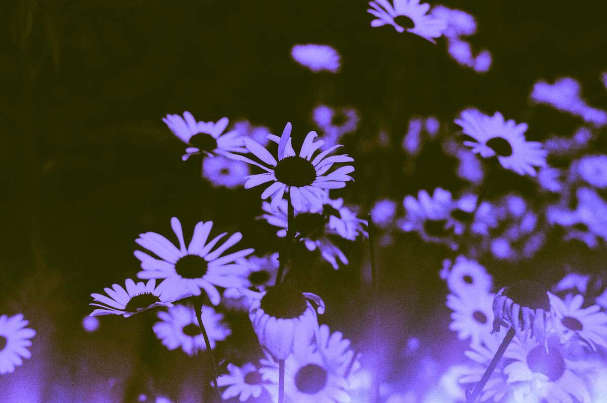 Picture of Jazzy Blues