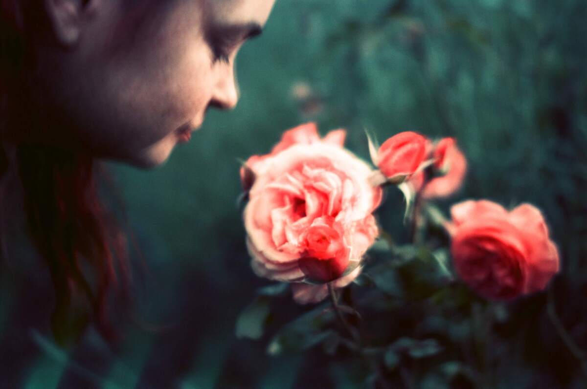 Picture from jazzyblues gallery