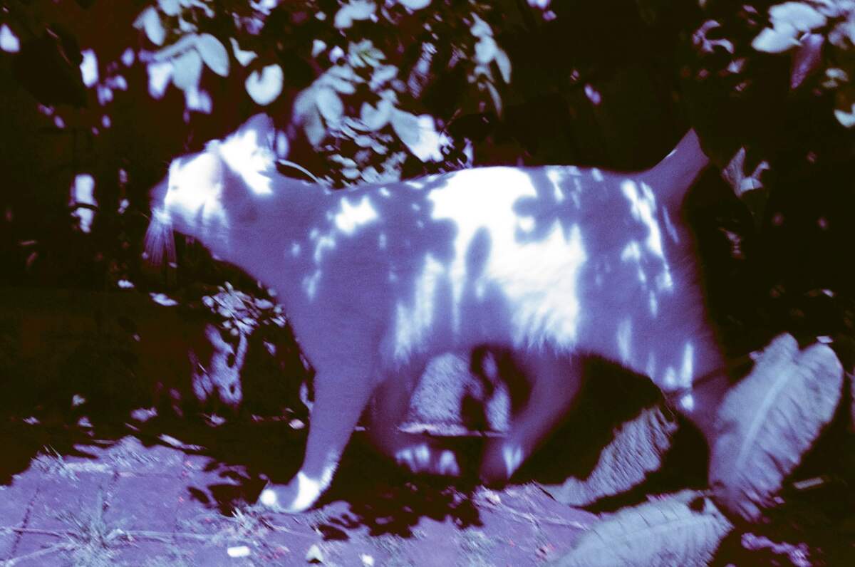 Picture of Jazzy Blues