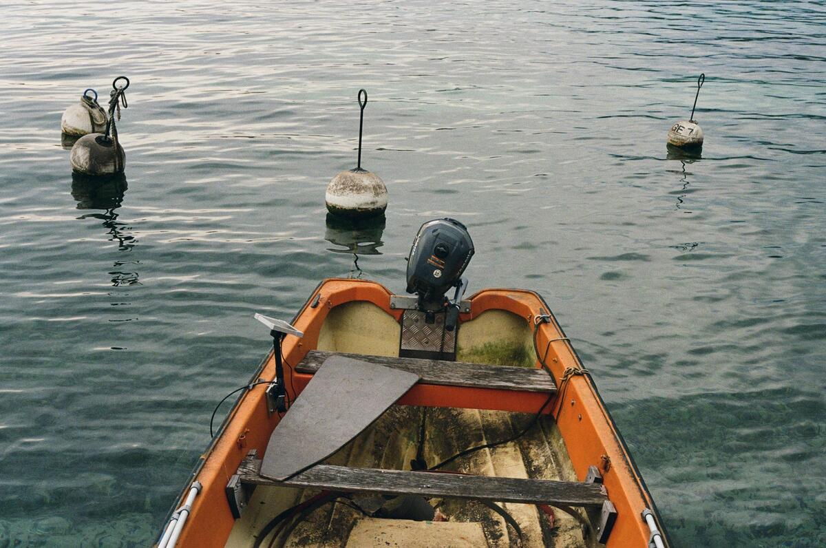 Picture of Moments of Stillness