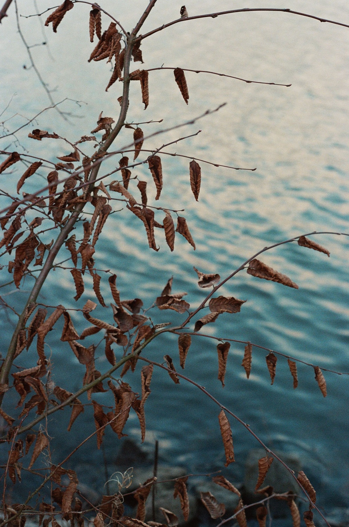 Preview of Moments of Stillness