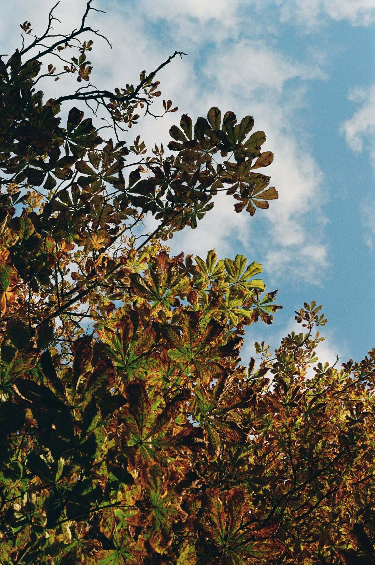 Picture of Moments of Stillness