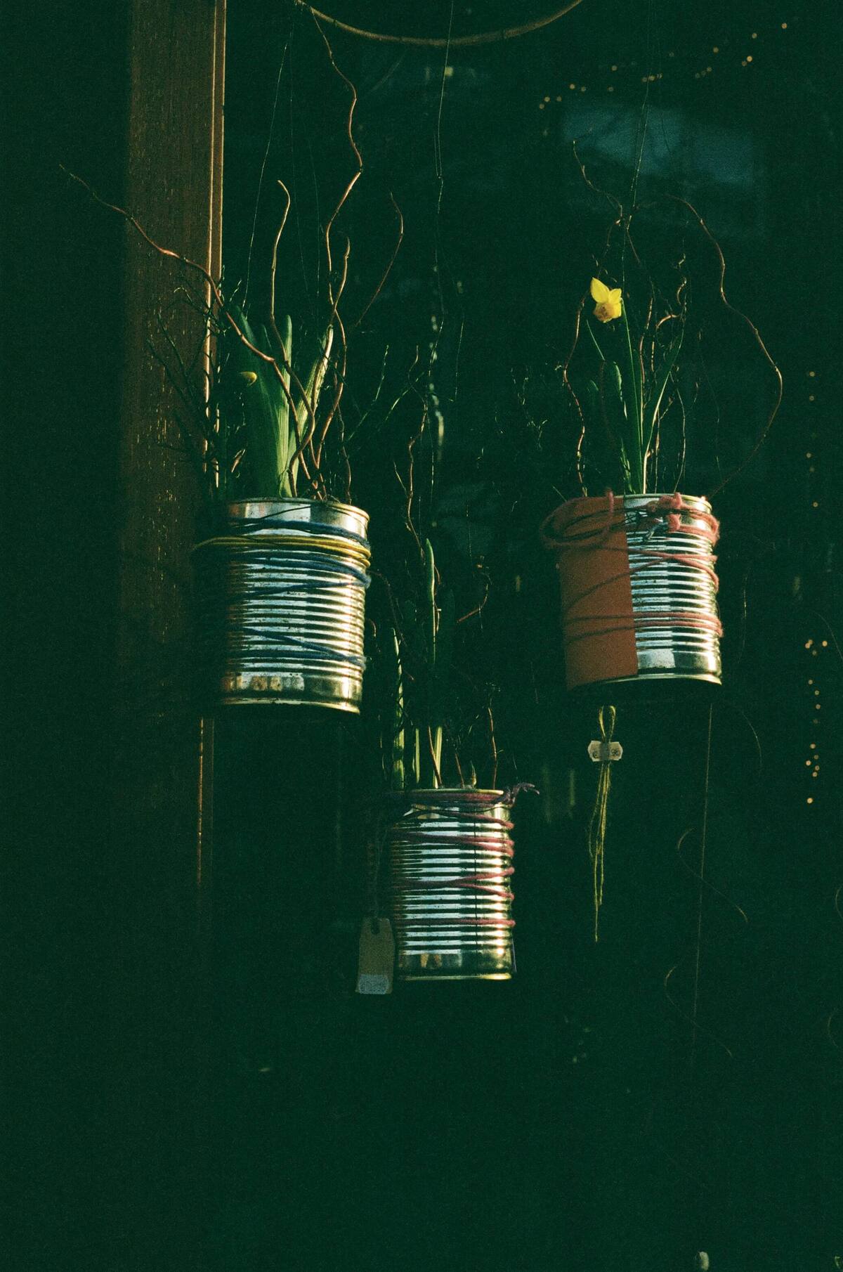 Picture of Moments of Stillness