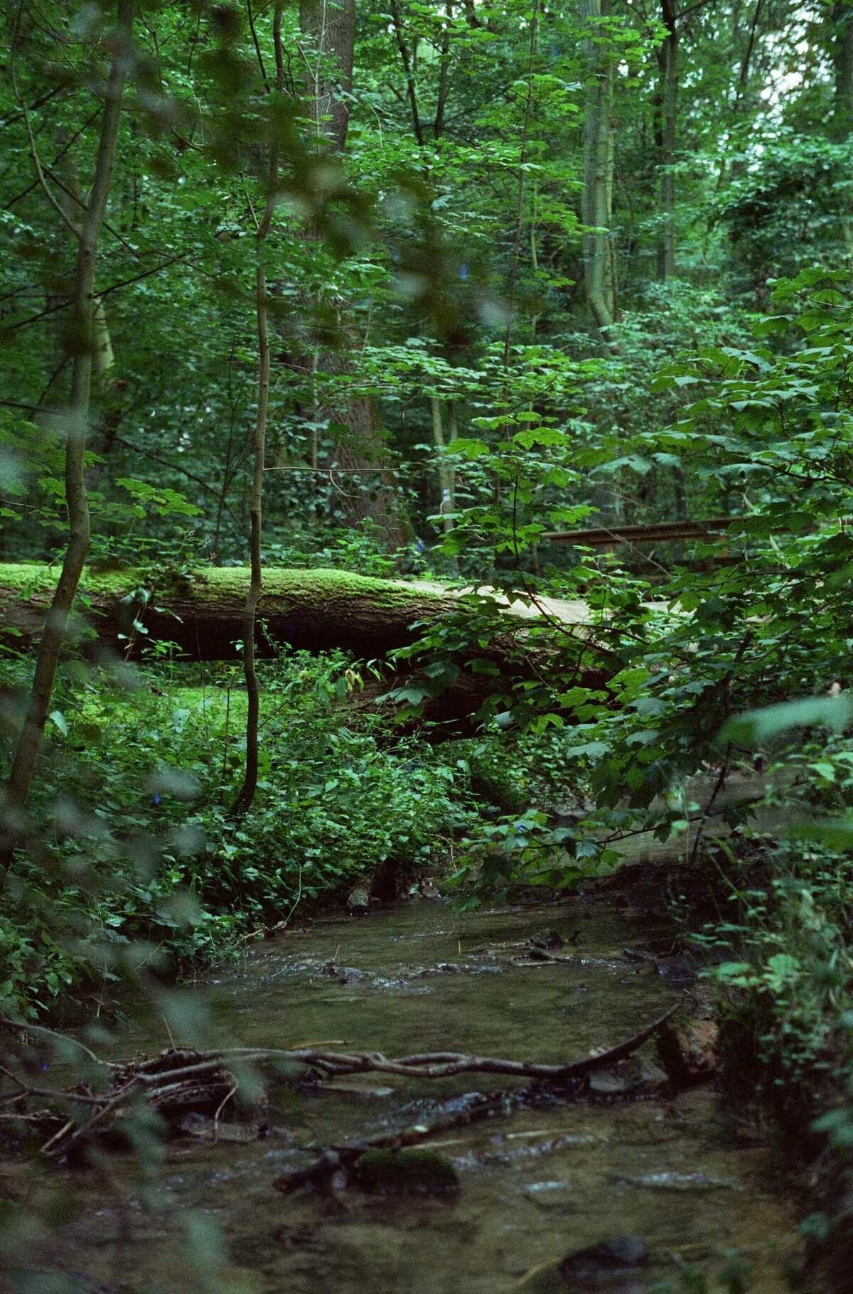 Picture of Moments of Stillness