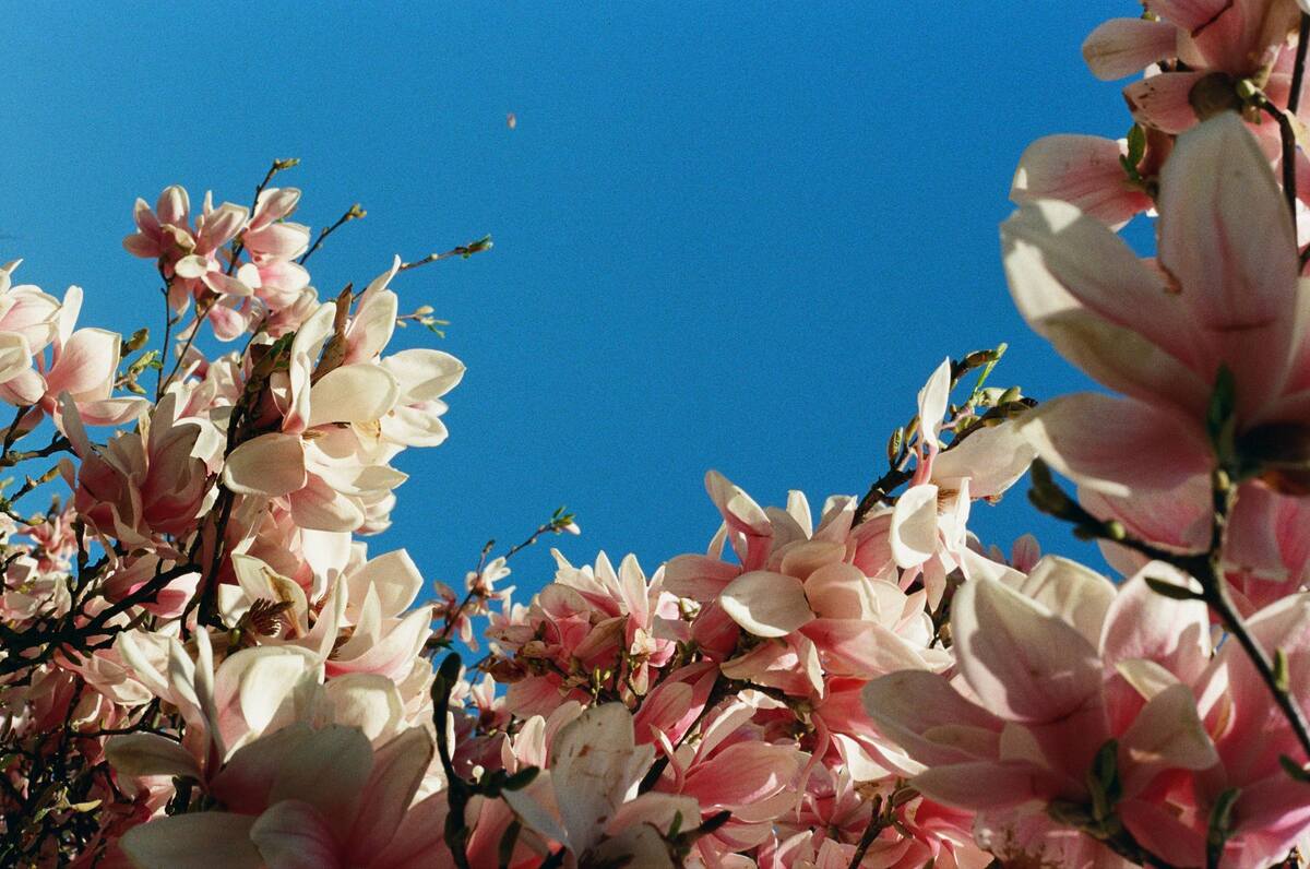 Picture of Moments of Stillness