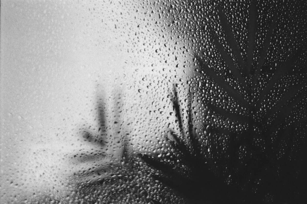 Picture of Noir et Blanc