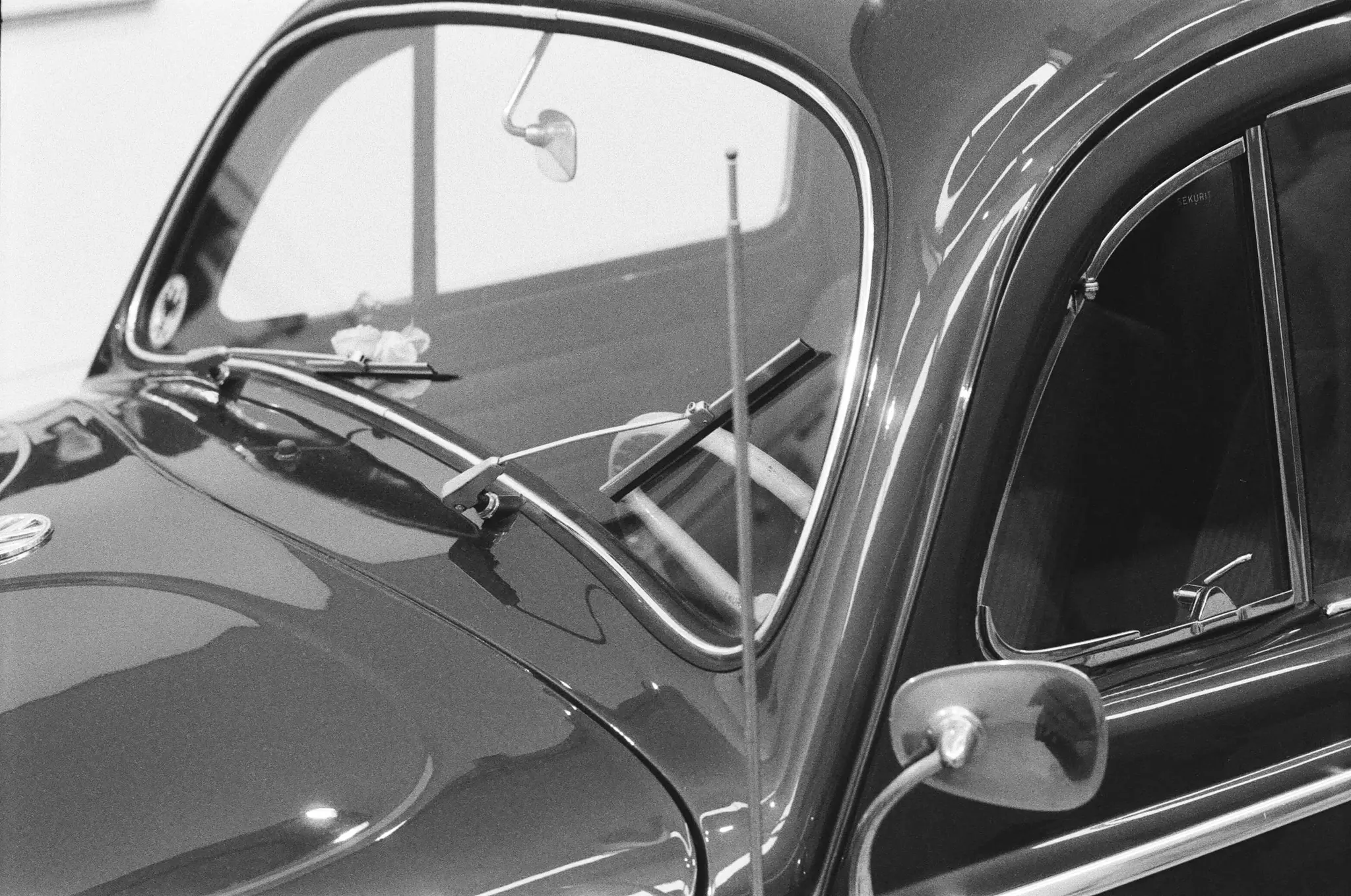 Flower in the Rearview, Kunstpalast, Düsseldorf, 2024